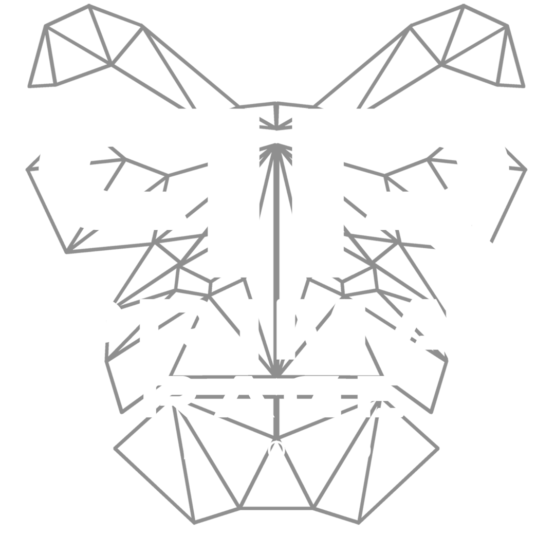 Primal Rage Records Logo